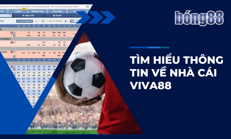 Tìm hiểu thông tin về hai nhà cái Viva88