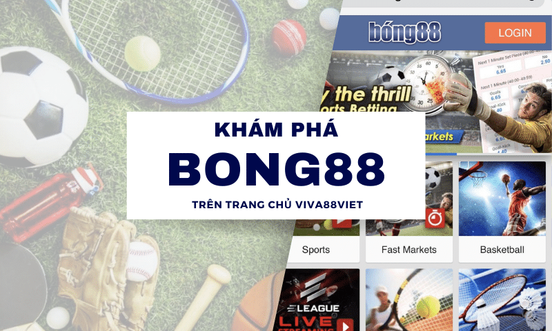 Khám phá ngay Bong88 trên trang chủ Viva88